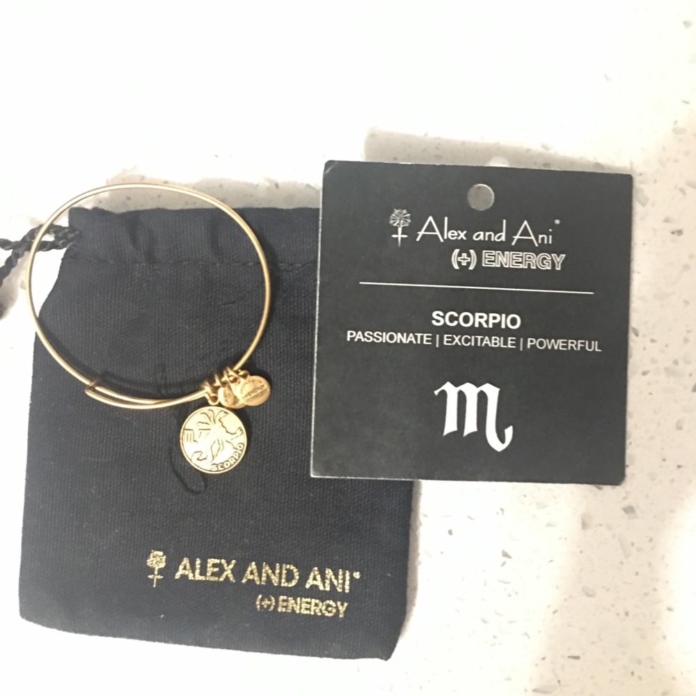 Alex and Ani Bracelet